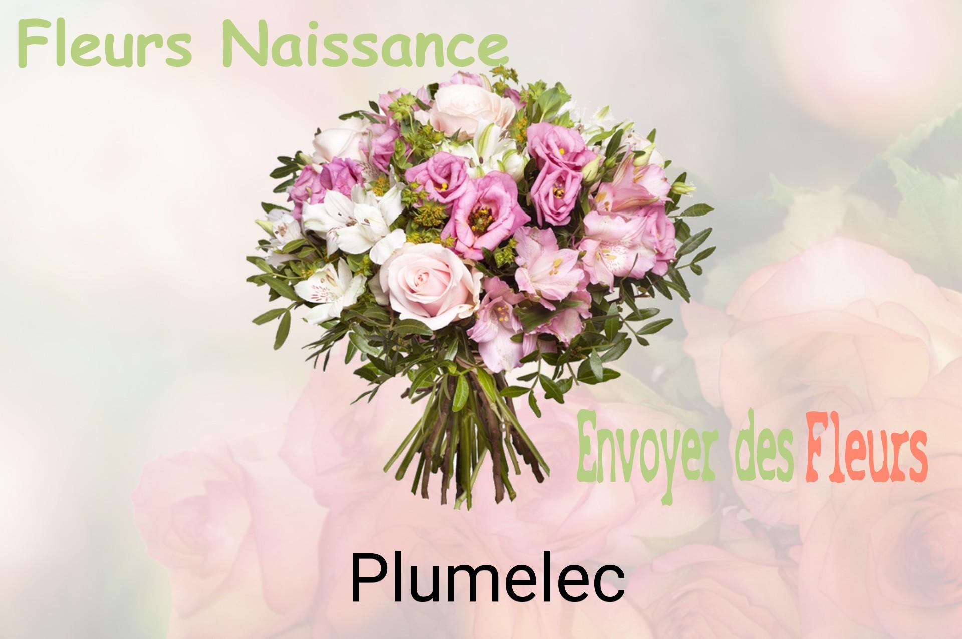 Bouquet de fleurs de naissance livré à Plumelec
