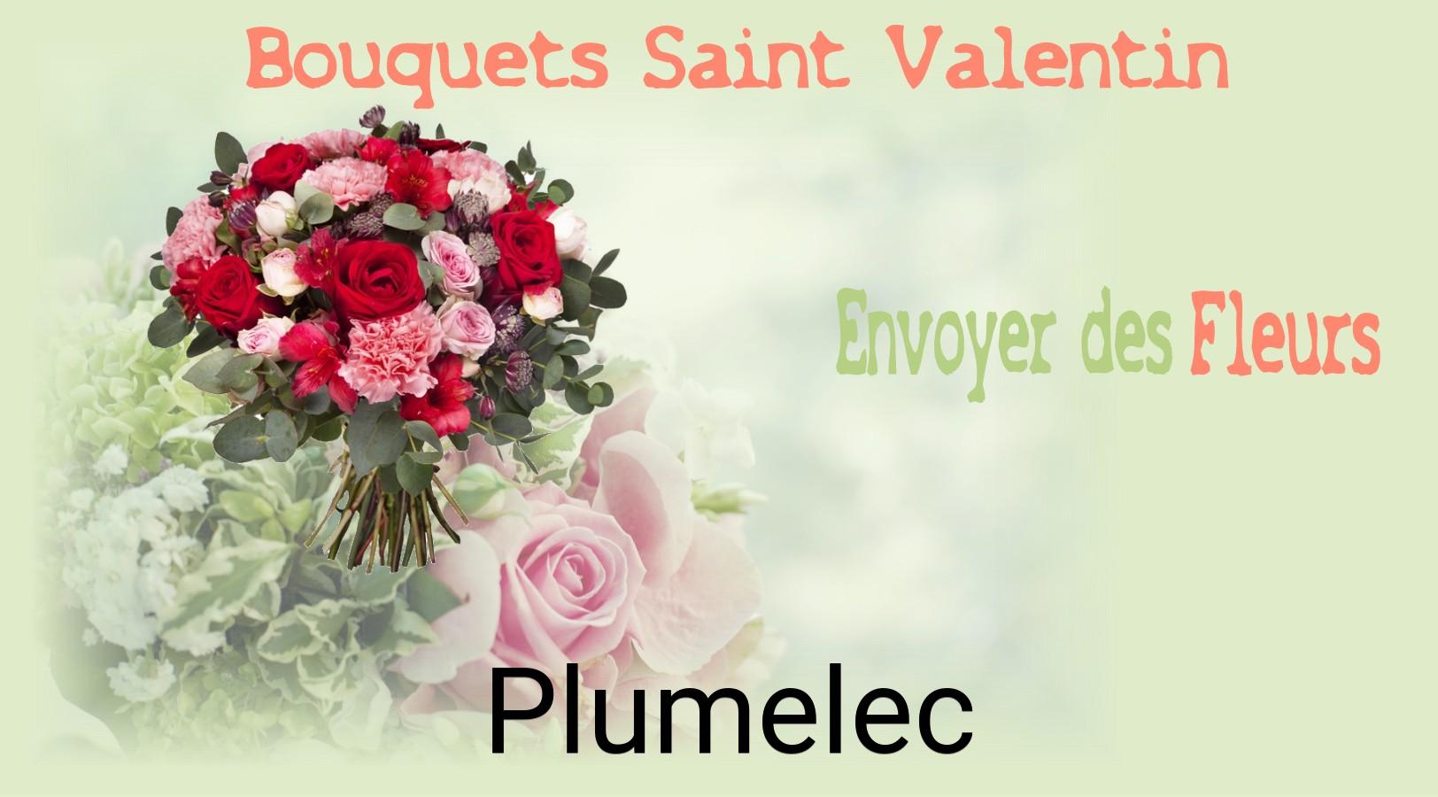 Roses de Saint-Valentin livrées à Plumelec