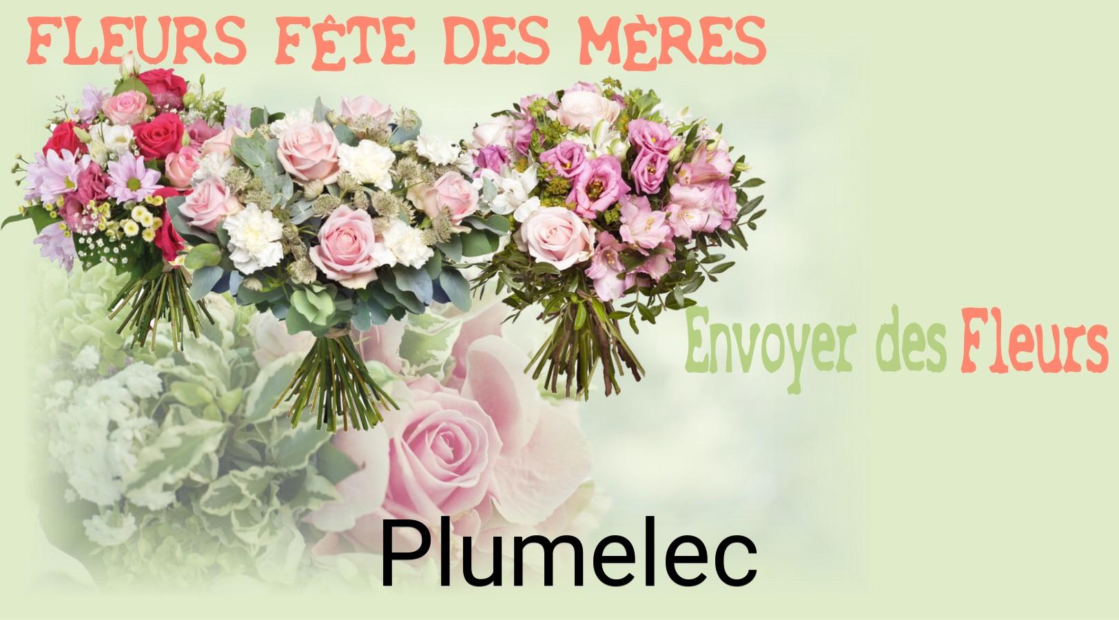 Bouquet de Fête des Mères livré à Plumelec
